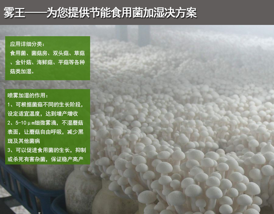 微信图片_20201218151312 微信图片_20201218151312